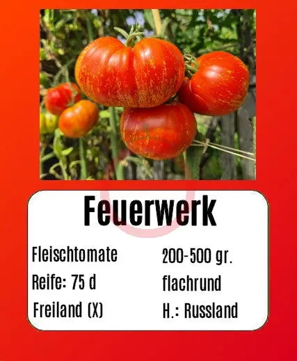 Feuerwerk DER TOMATENFLÜSTERER