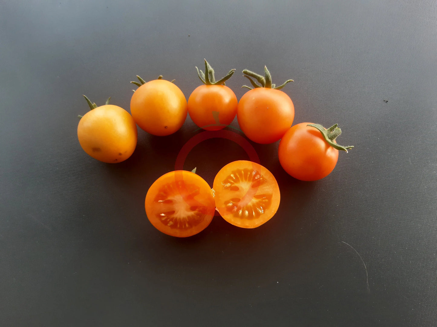 Finnish Yellow DER TOMATENFLÜSTERER