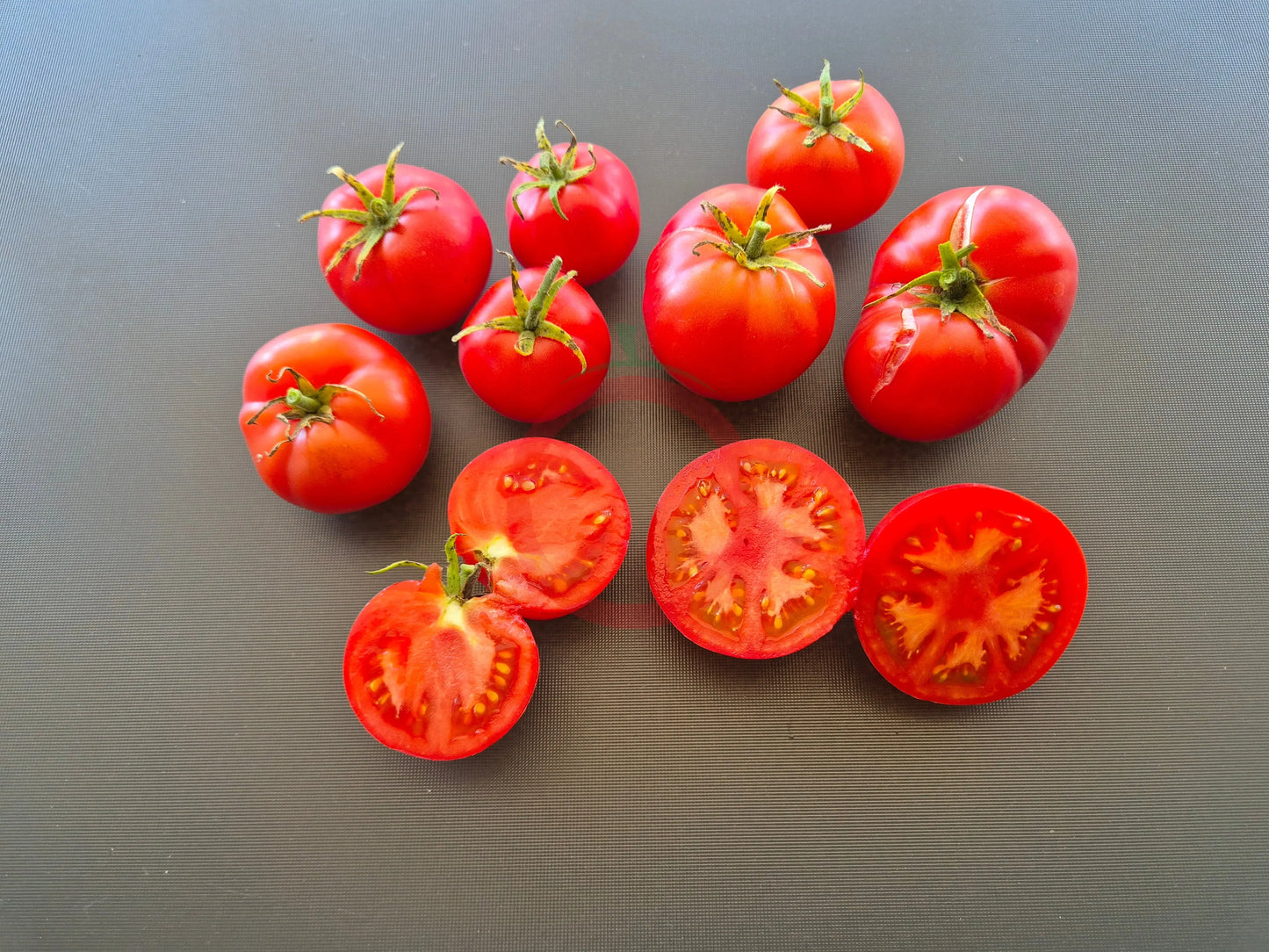 Fordhook First DER TOMATENFLÜSTERER
