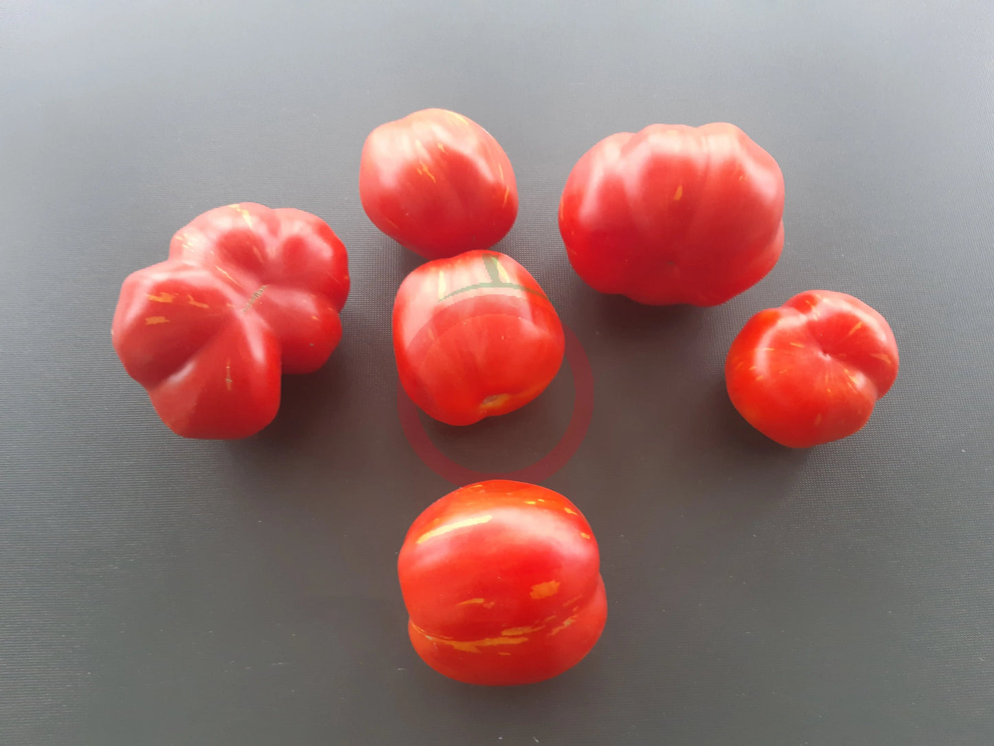 Forshmak DER TOMATENFLÜSTERER