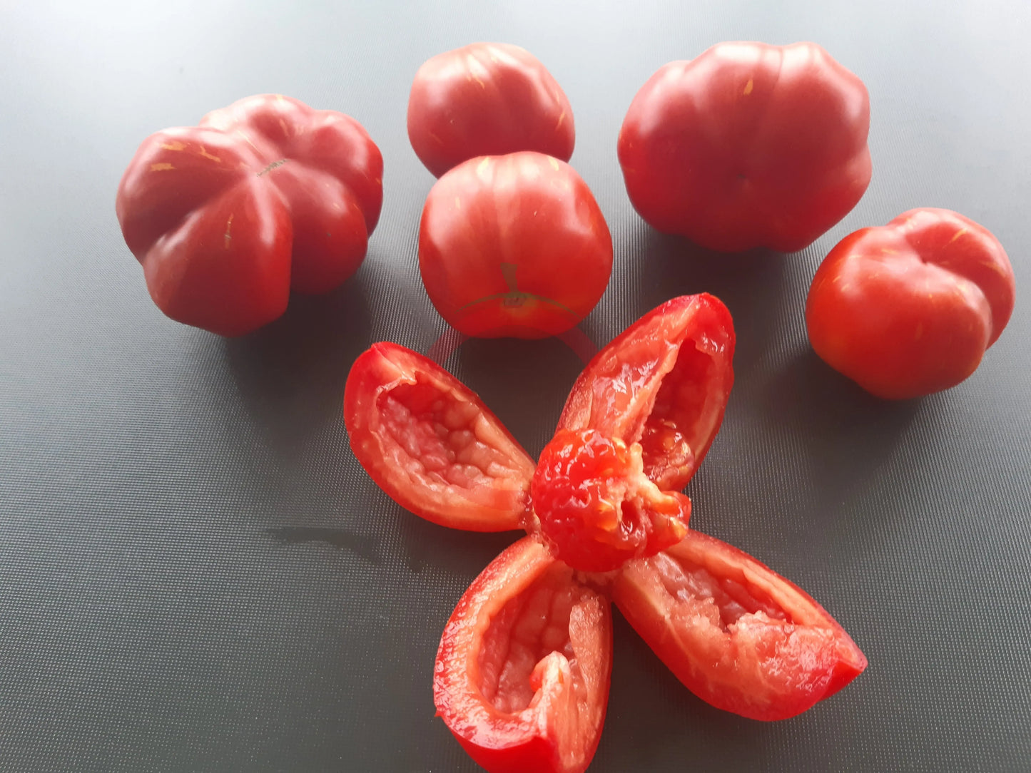 Forshmak DER TOMATENFLÜSTERER