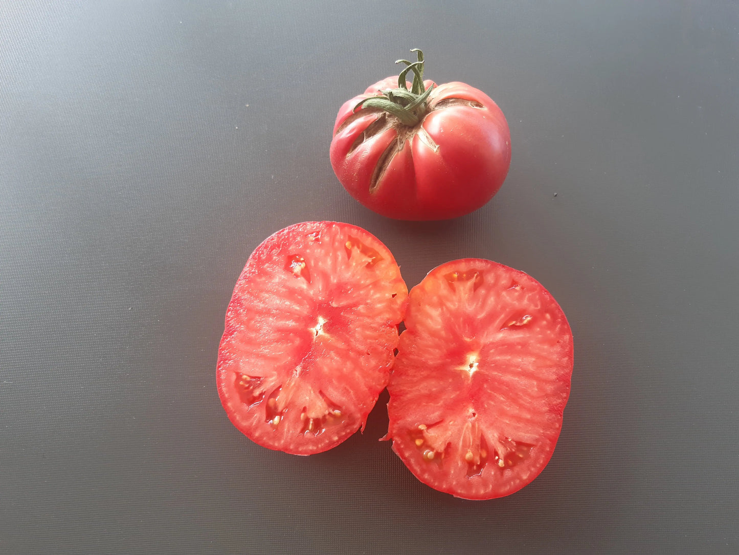 Fritz Ackermann DER TOMATENFLÜSTERER