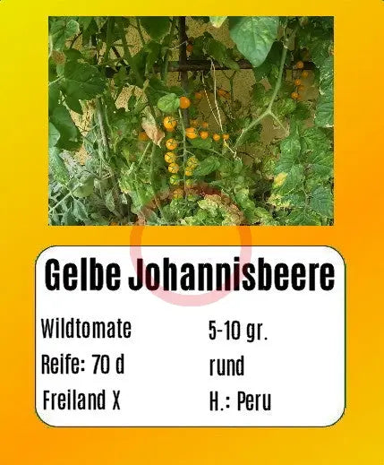 Gelbe Johannisbeere DER TOMATENFLÜSTERER
