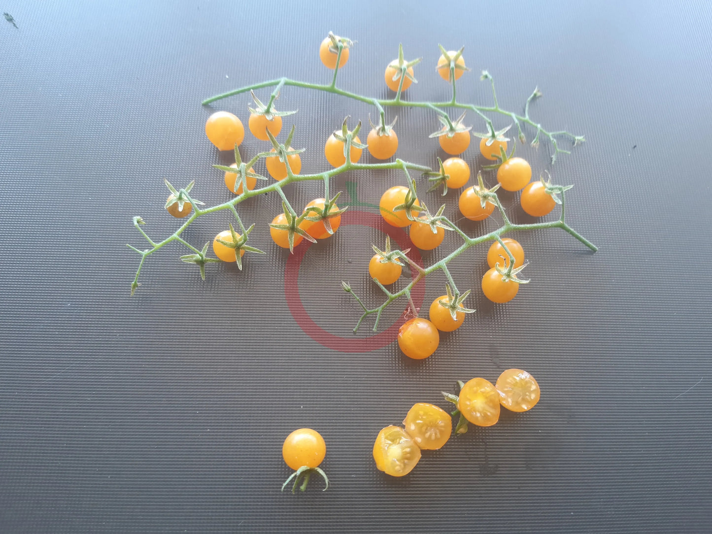 Gelbe Johannisbeere DER TOMATENFLÜSTERER
