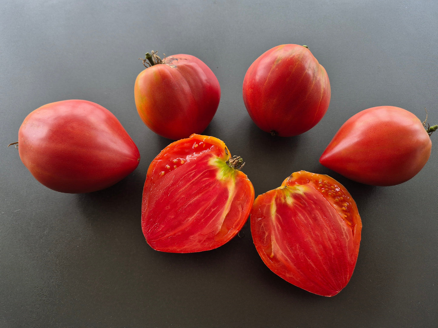 Giant Heart Climber DER TOMATENFLÜSTERER