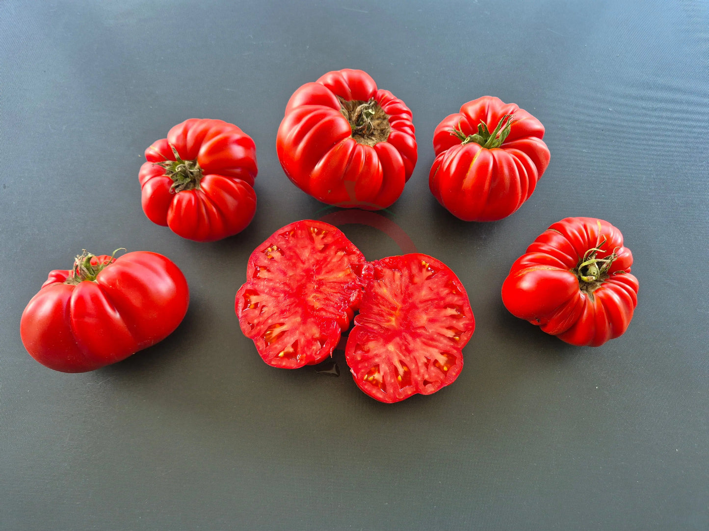 Gigante Farina DER TOMATENFLÜSTERER