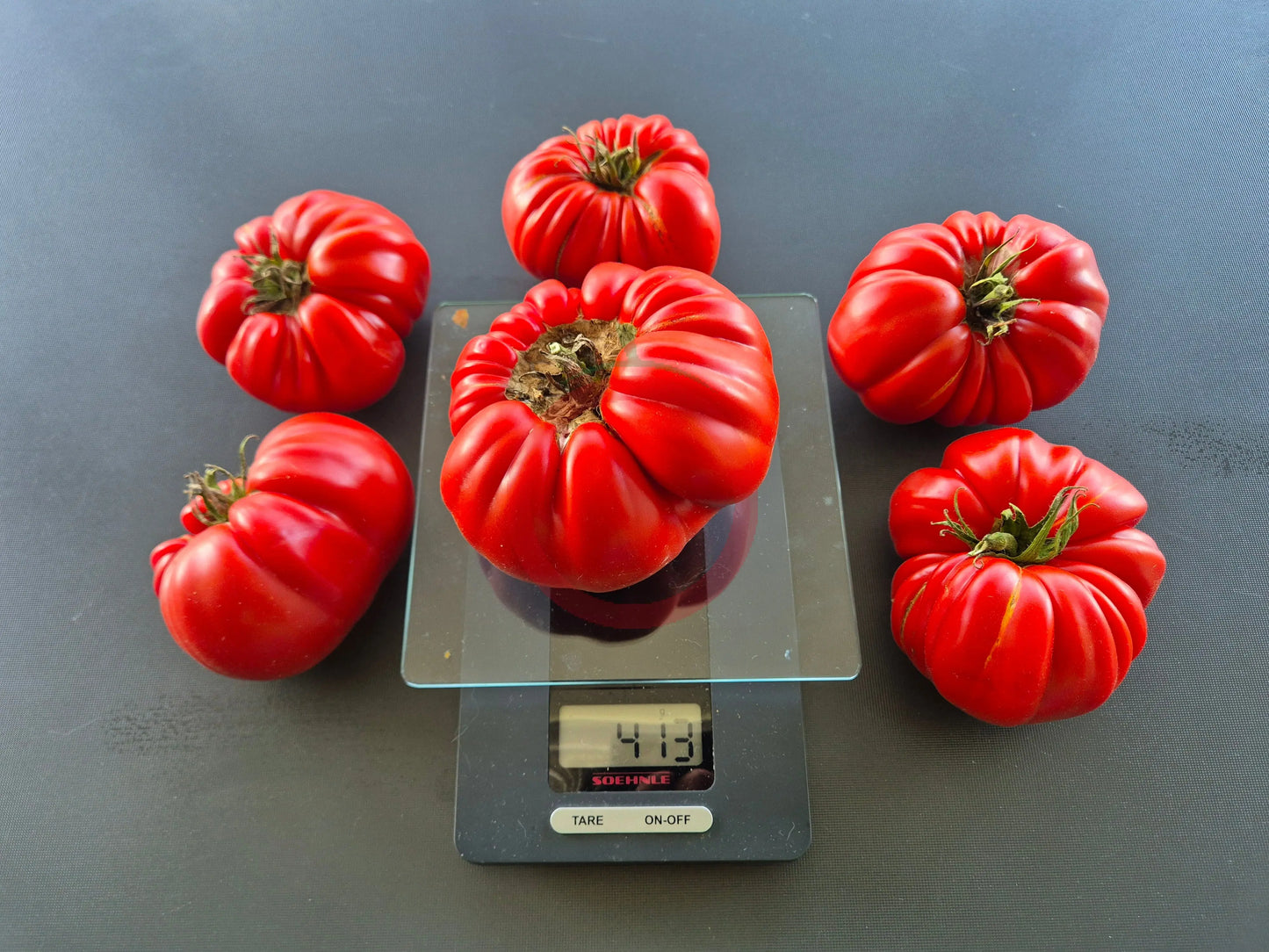 Gigante Farina DER TOMATENFLÜSTERER