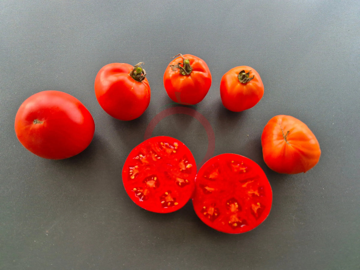 Gil´s All Purpose DER TOMATENFLÜSTERER
