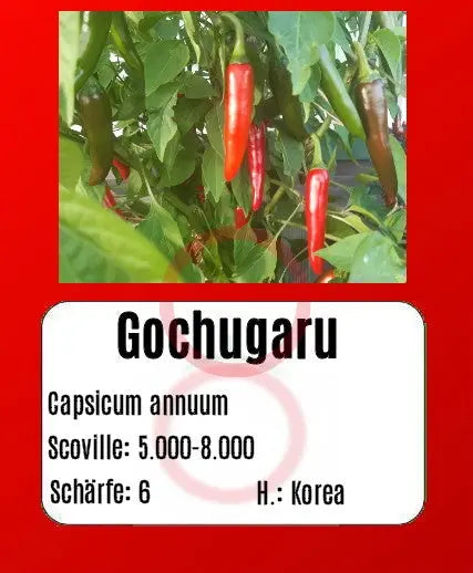 Gochugaru DER TOMATENFLÜSTERER