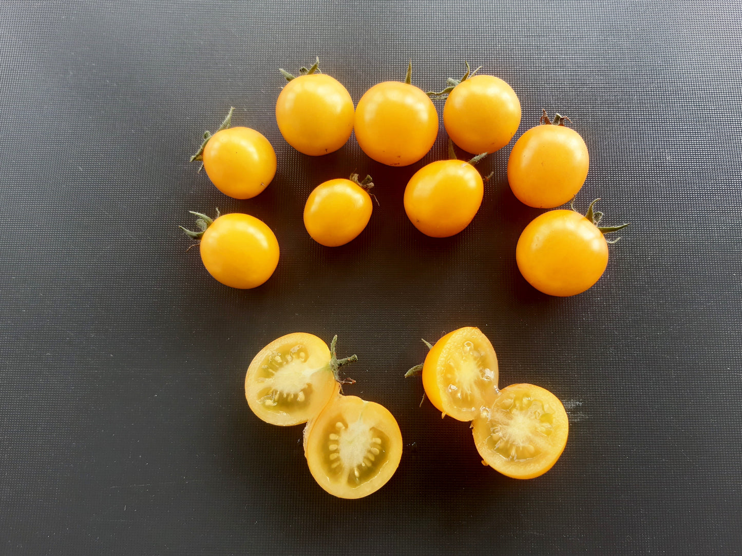 Gold Nugget DER TOMATENFLÜSTERER