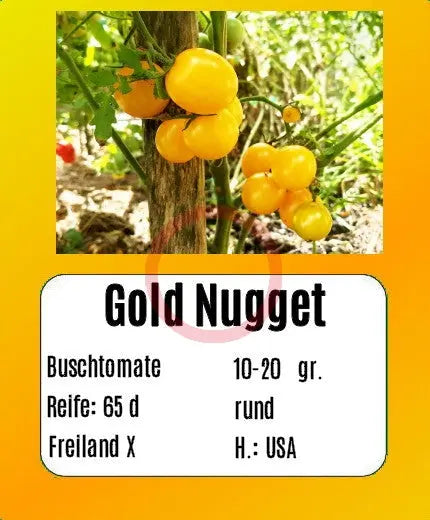 Gold Nugget DER TOMATENFLÜSTERER