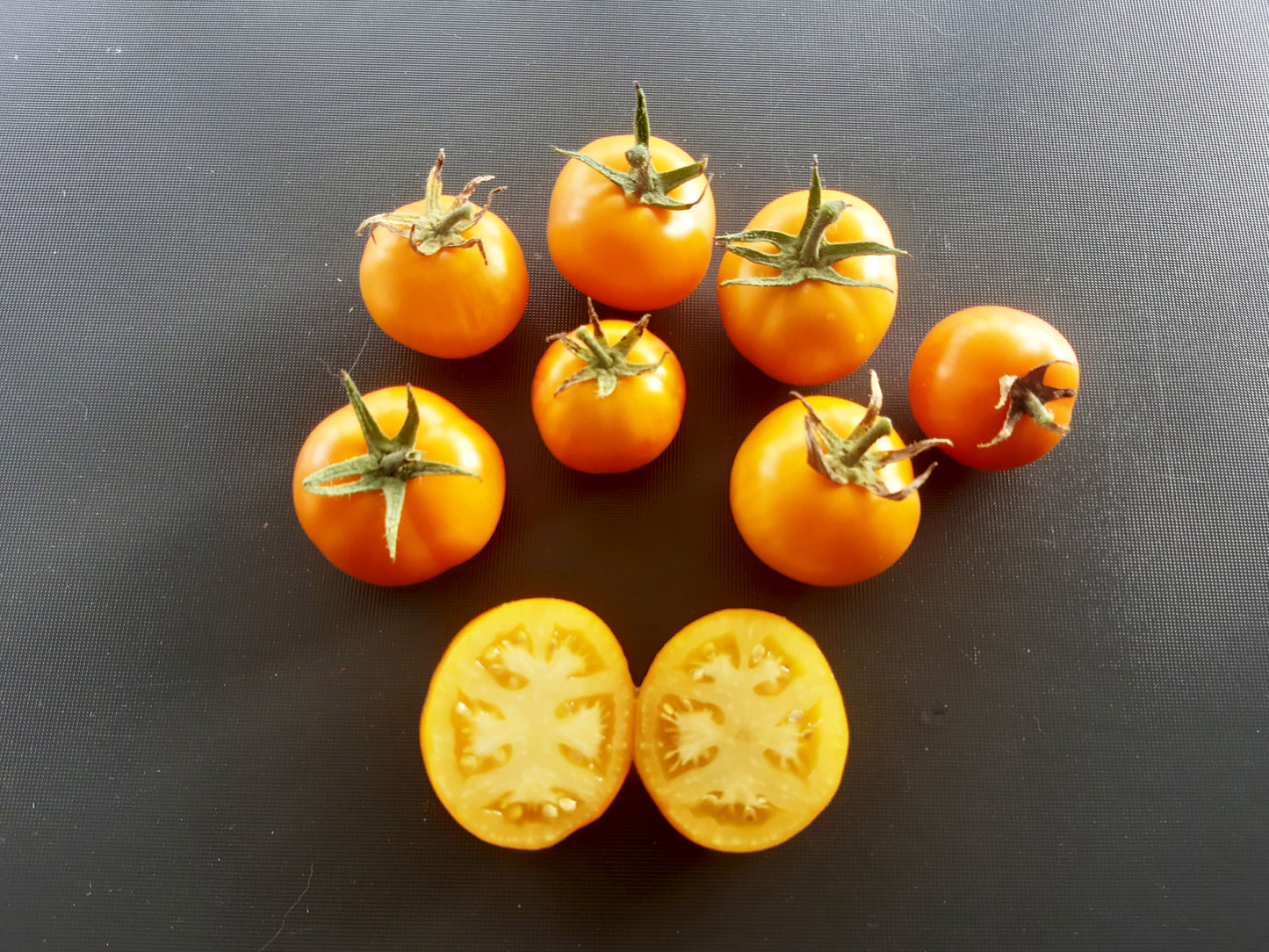 Golden Bison DER TOMATENFLÜSTERER