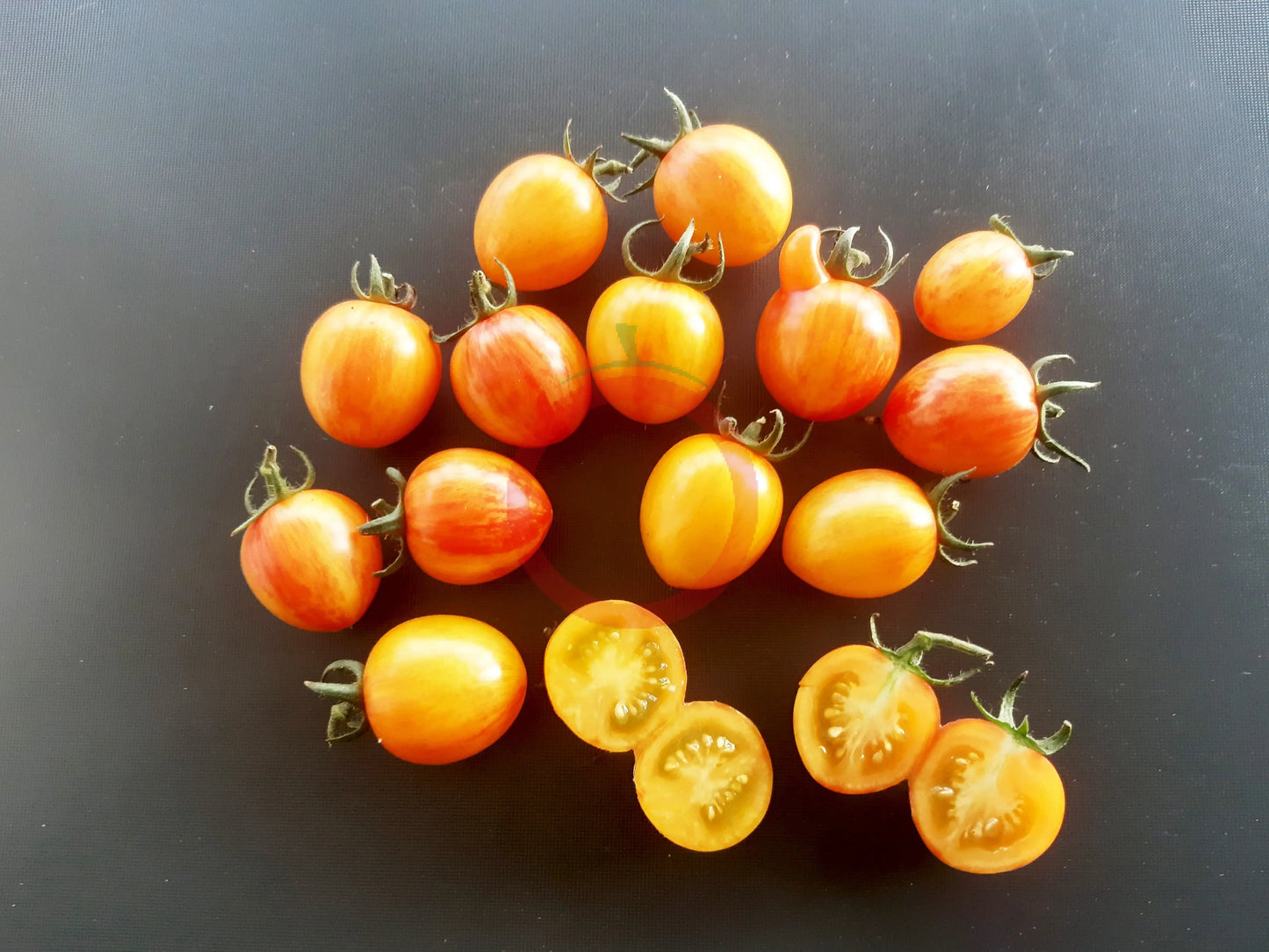 Golden Butterfly DER TOMATENFLÜSTERER