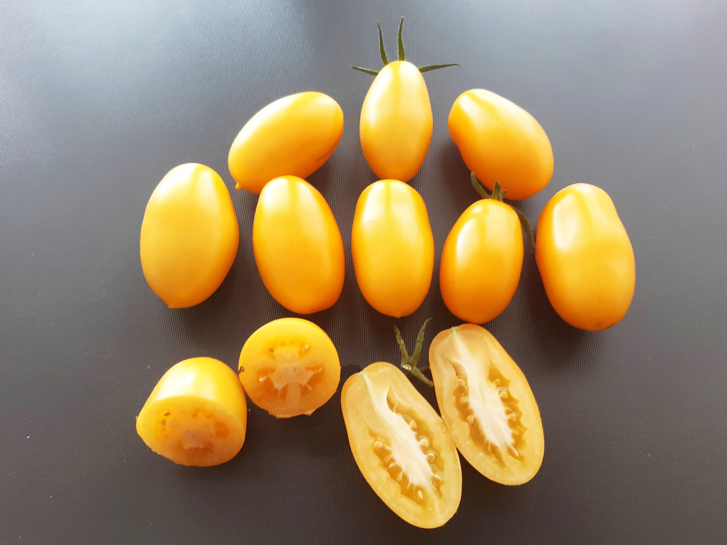 Goldhahn DER TOMATENFLÜSTERER