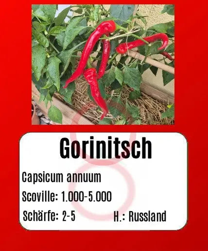 Gorinitsch DER TOMATENFLÜSTERER