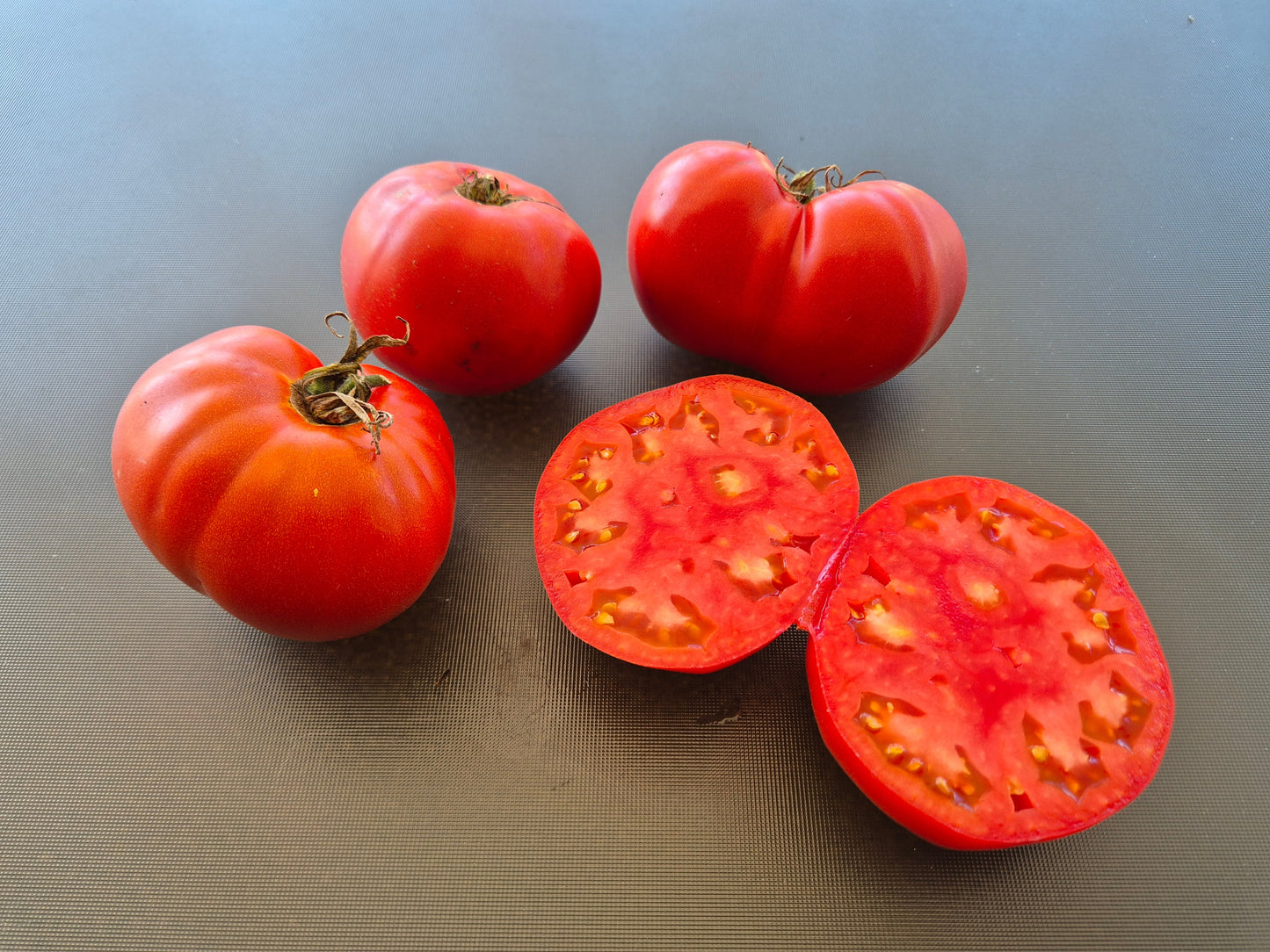 Governor Lazarus DER TOMATENFLÜSTERER