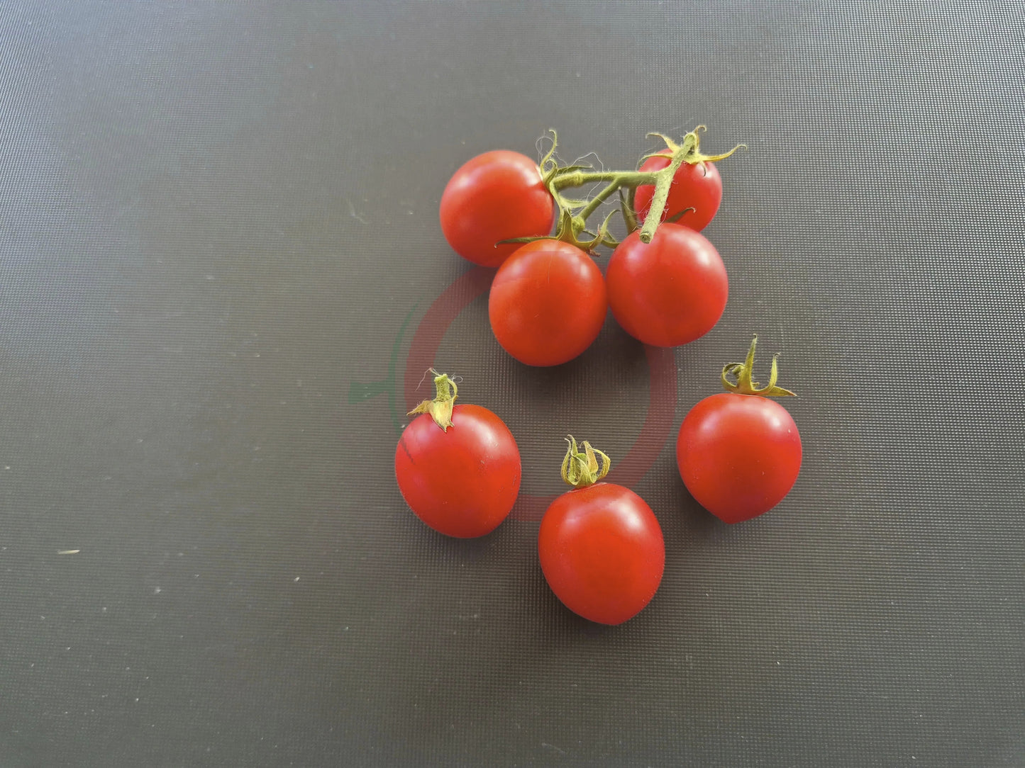 Grappler´s Quest DER TOMATENFLÜSTERER