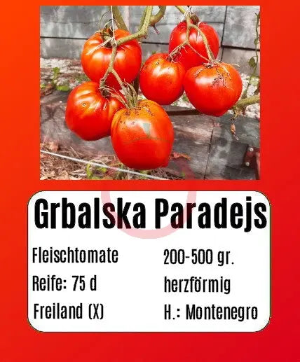 Grbalska Paradejs DER TOMATENFLÜSTERER