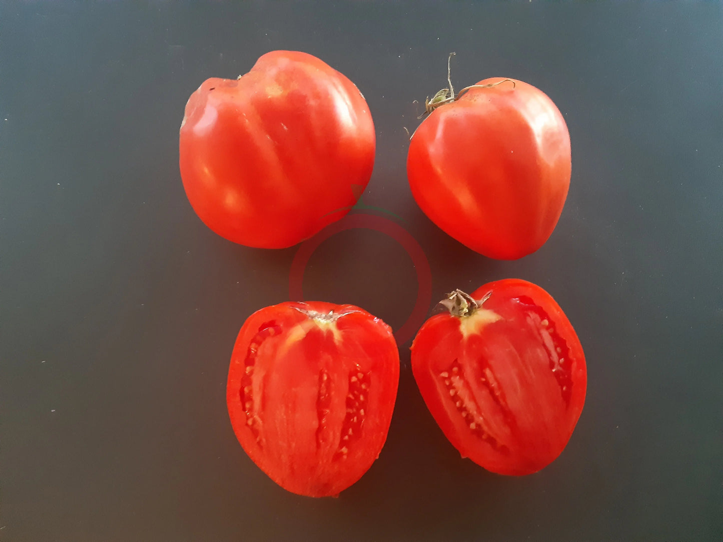 Grbalska Paradejs DER TOMATENFLÜSTERER