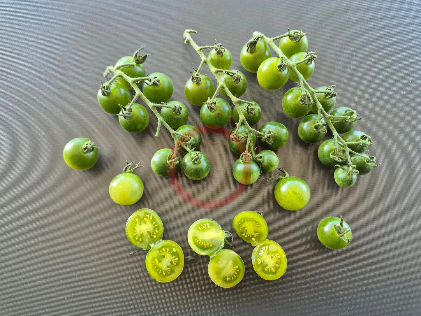 Green Doctors Frosted DER TOMATENFLÜSTERER