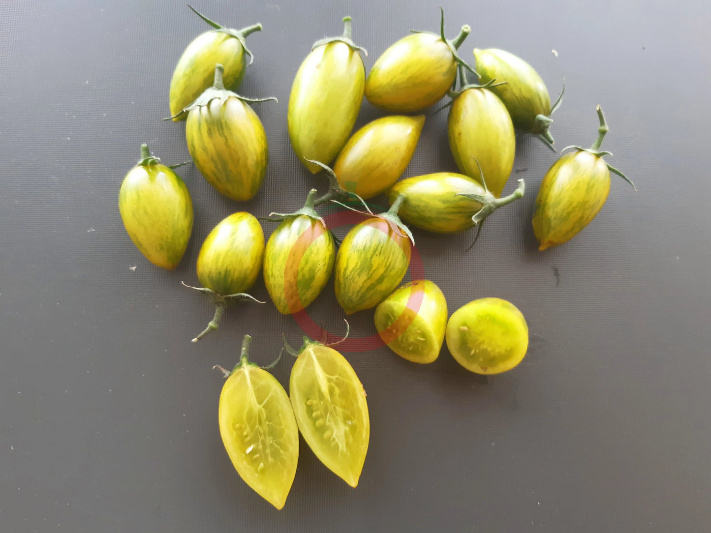 Green Tiger DER TOMATENFLÜSTERER