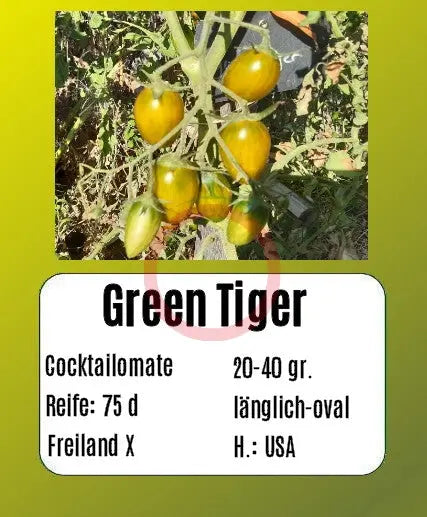 Green Tiger DER TOMATENFLÜSTERER