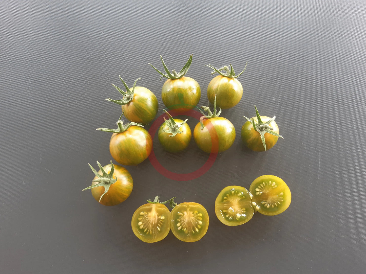 Green Zebra Cherry DER TOMATENFLÜSTERER