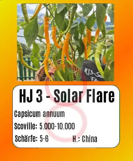 HJ 3 - Solar Flare DER TOMATENFLÜSTERER