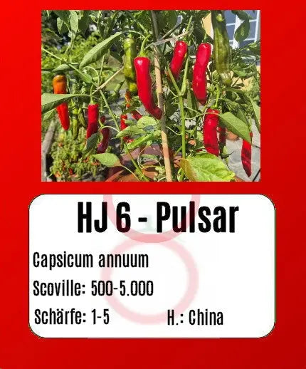 HJ 6 - Pulsar DER TOMATENFLÜSTERER