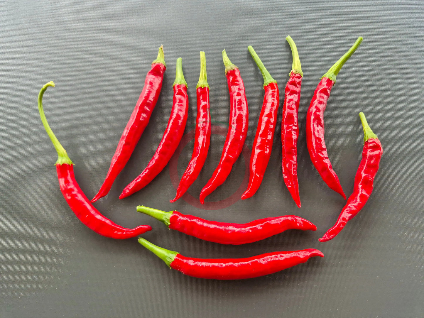 Han Rim Gwari Put DER TOMATENFLÜSTERER