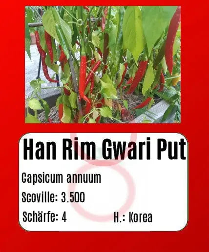 Han Rim Gwari Put DER TOMATENFLÜSTERER