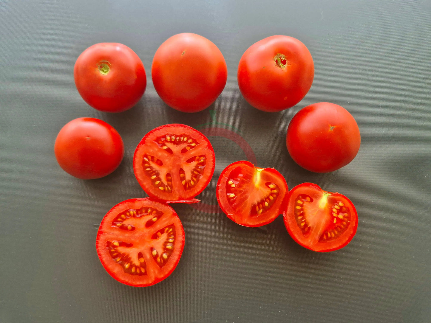 Harbinger DER TOMATENFLÜSTERER