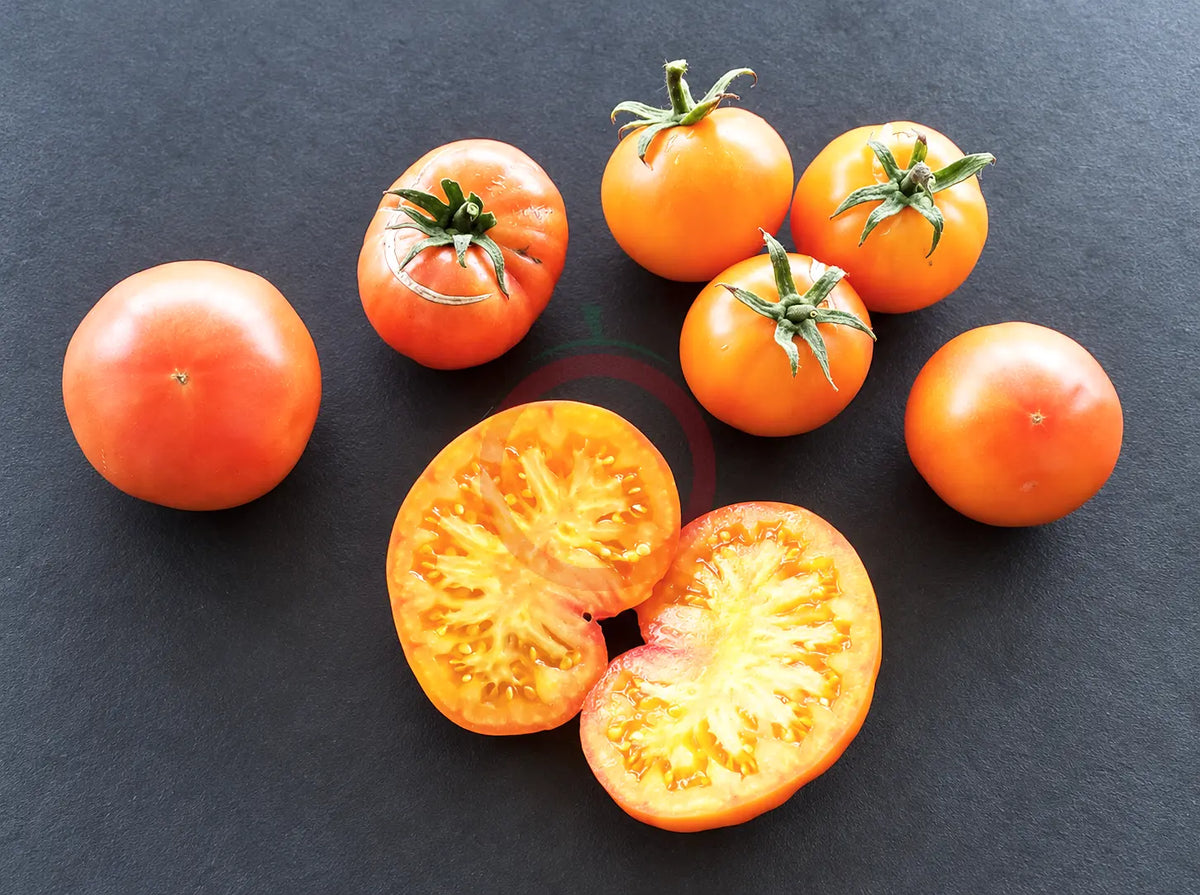Hillbilly DER TOMATENFLÜSTERER