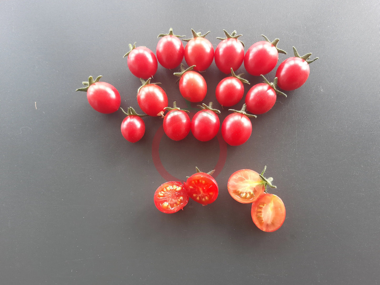 Himbeerrose DER TOMATENFLÜSTERER
