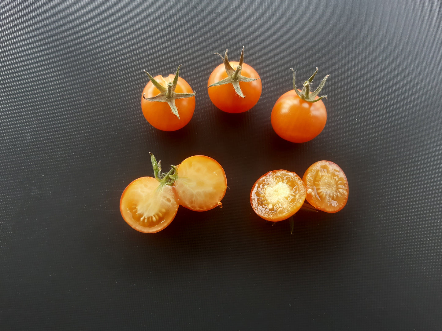 Honeybee DER TOMATENFLÜSTERER