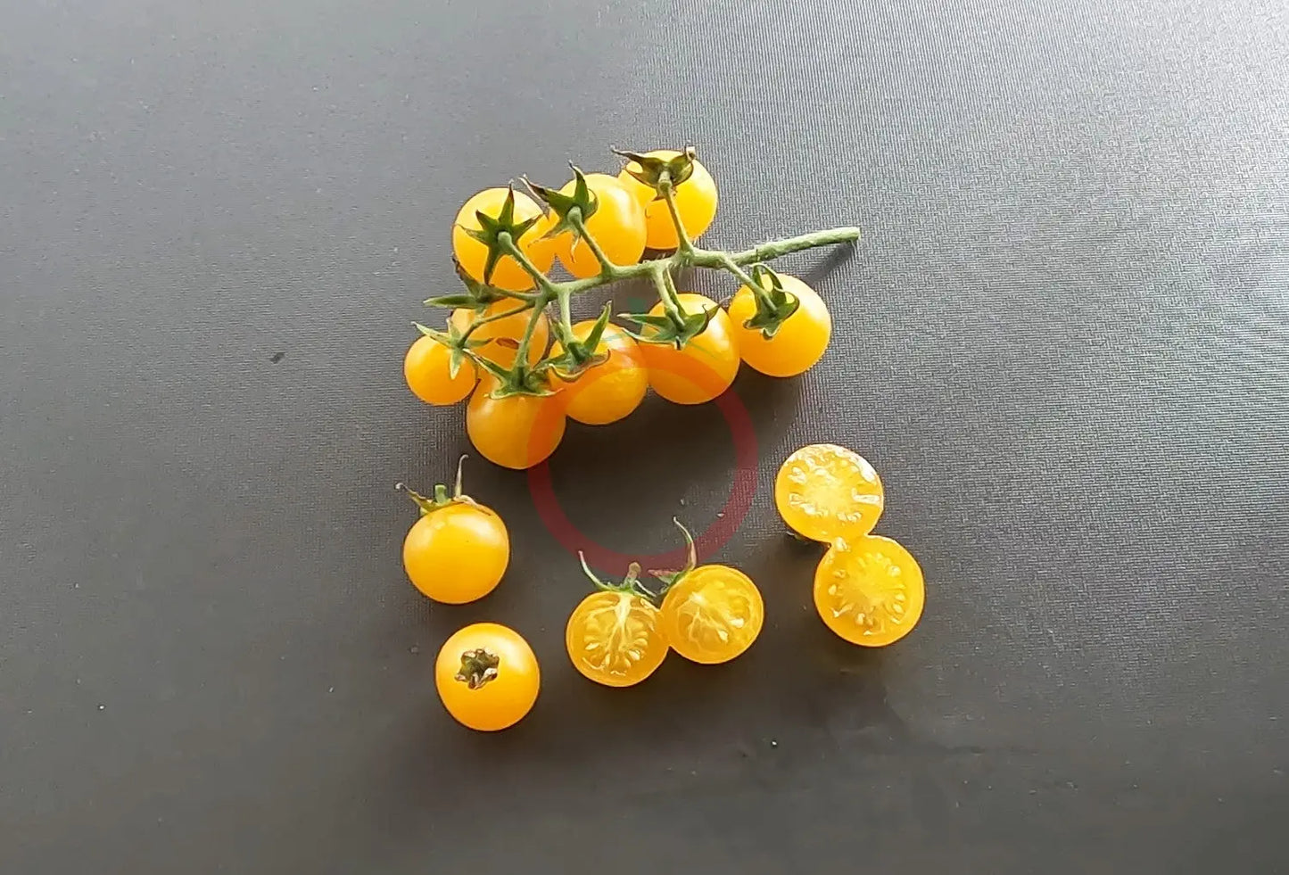 Honeydrop DER TOMATENFLÜSTERER