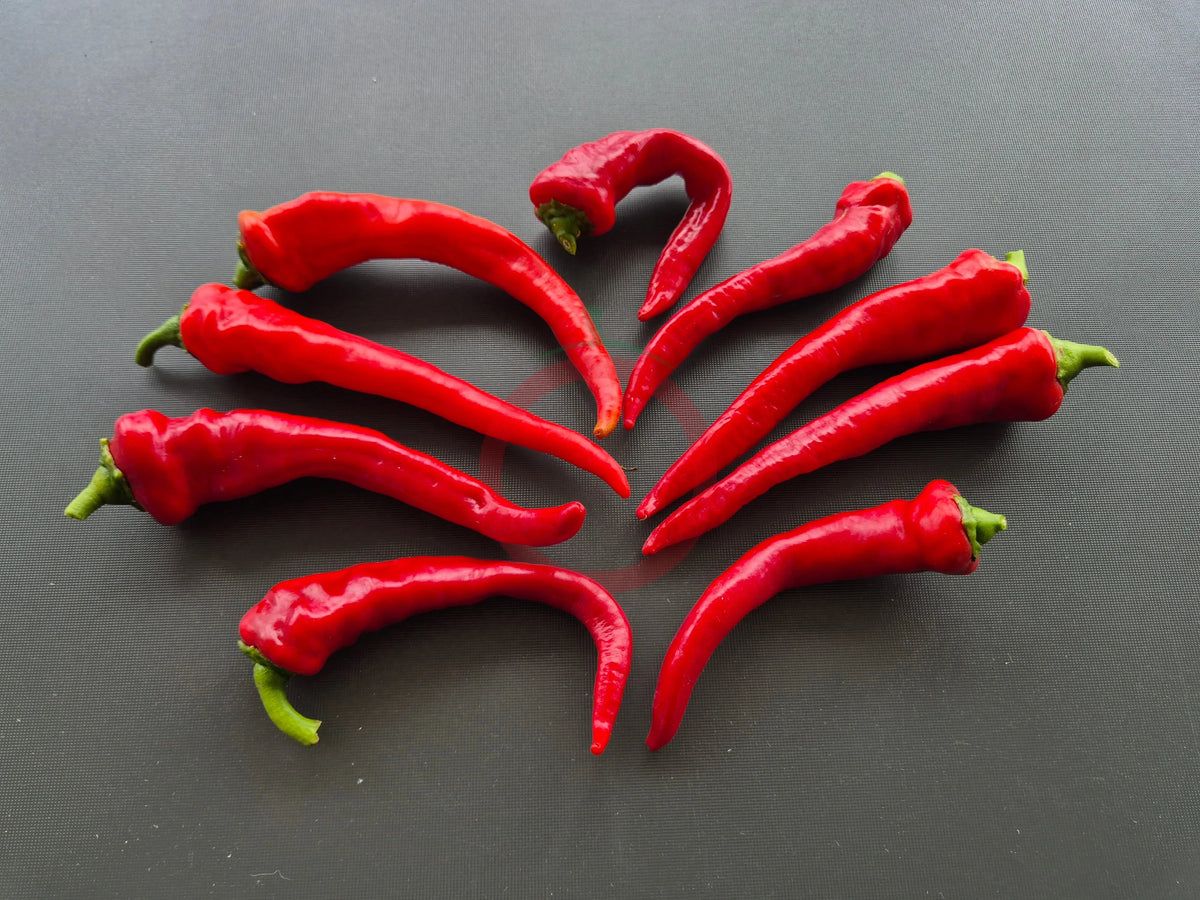 Hot Portugal DER TOMATENFLÜSTERER