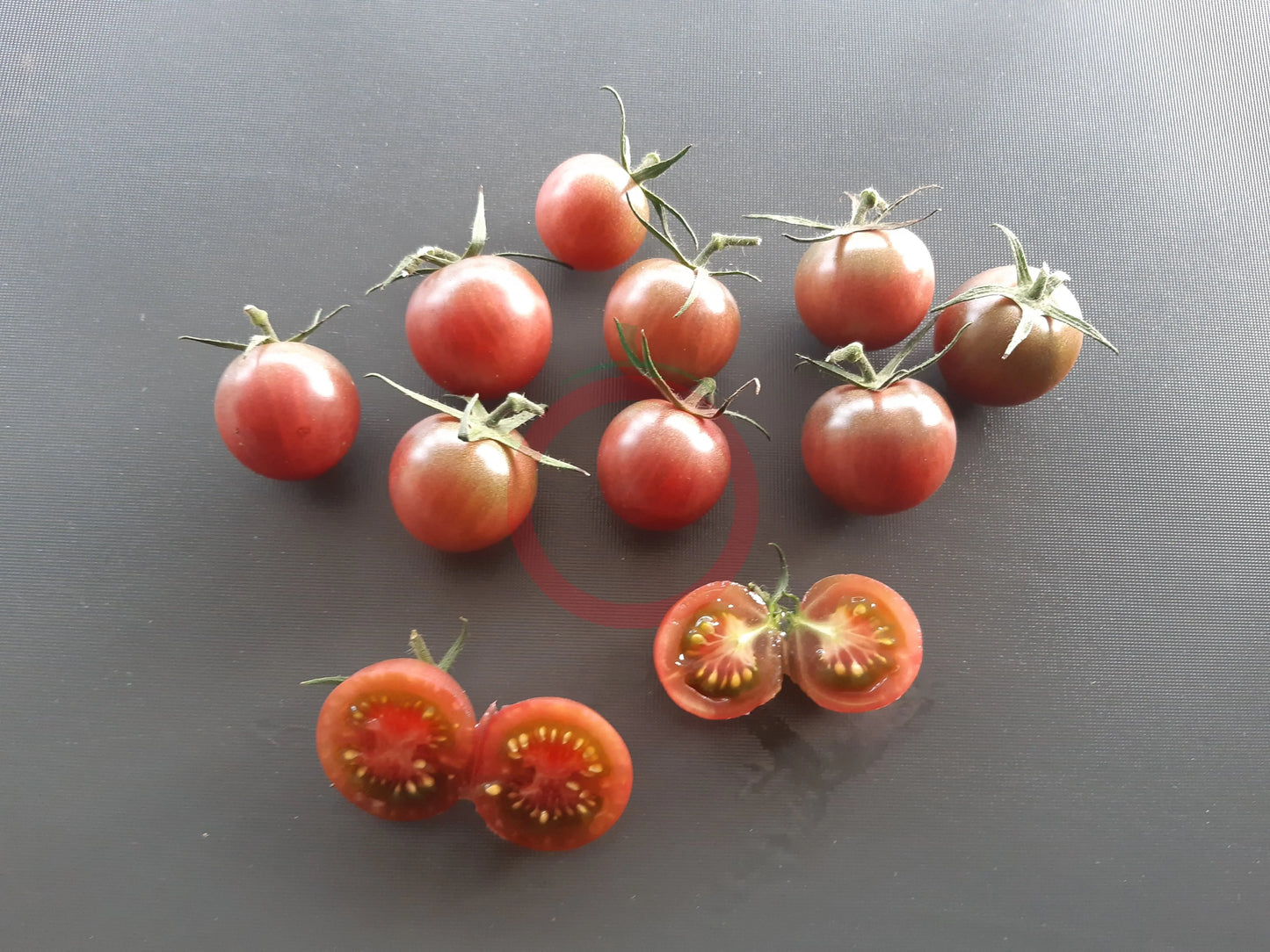 Ikra Chornaja DER TOMATENFLÜSTERER