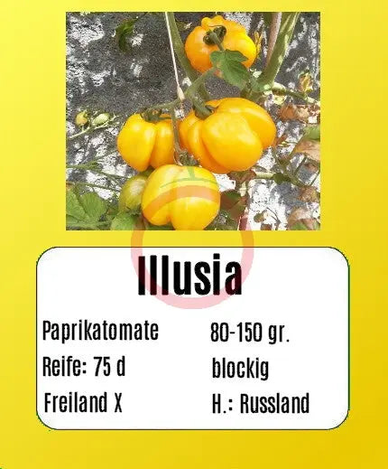 Illusia DER TOMATENFLÜSTERER