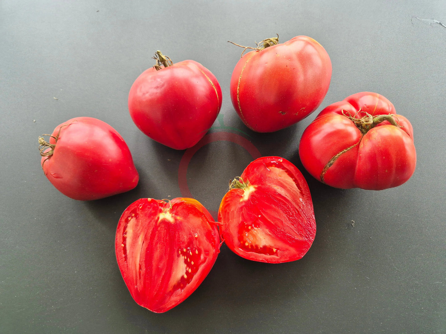 Inima de Bou Sat Baray Cluj DER TOMATENFLÜSTERER