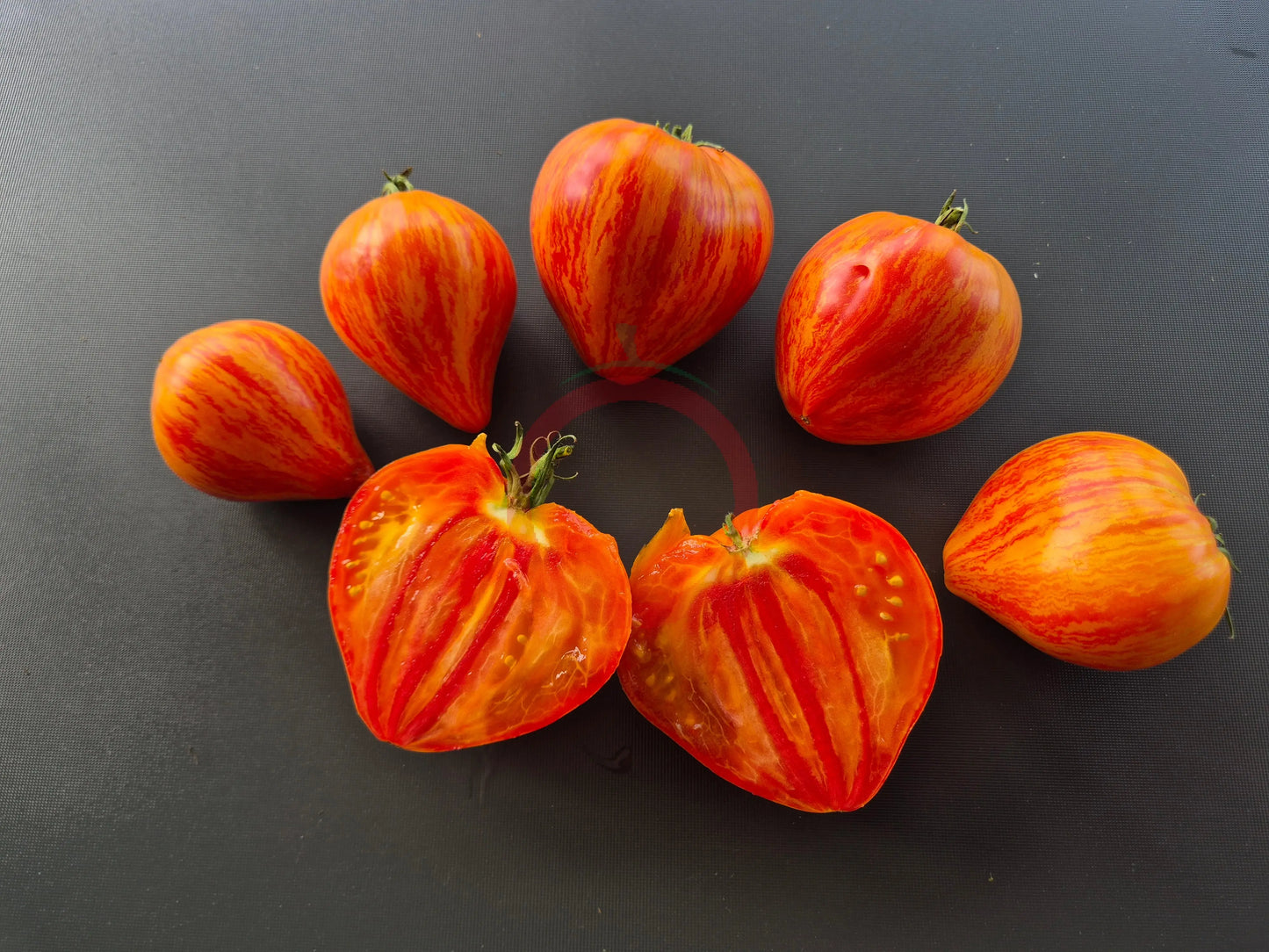 Iskusheniye DER TOMATENFLÜSTERER