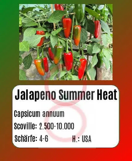 Jalapeno Summer Heat DER TOMATENFLÜSTERER
