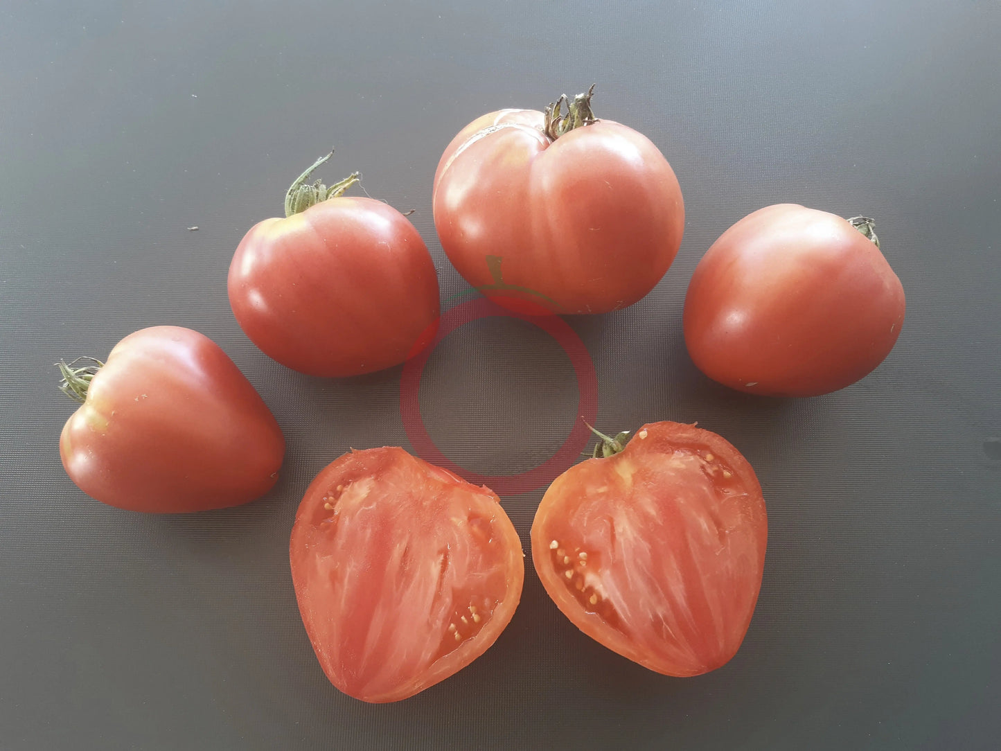 Japanisches Ochsenherz DER TOMATENFLÜSTERER