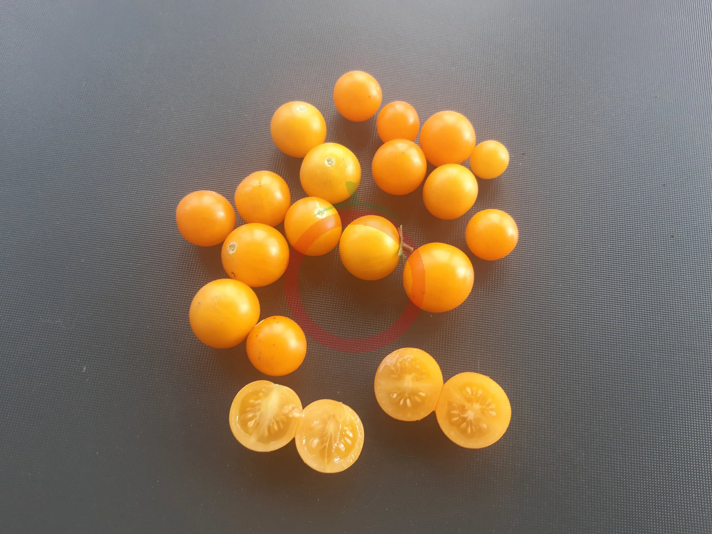 Jochalos DER TOMATENFLÜSTERER