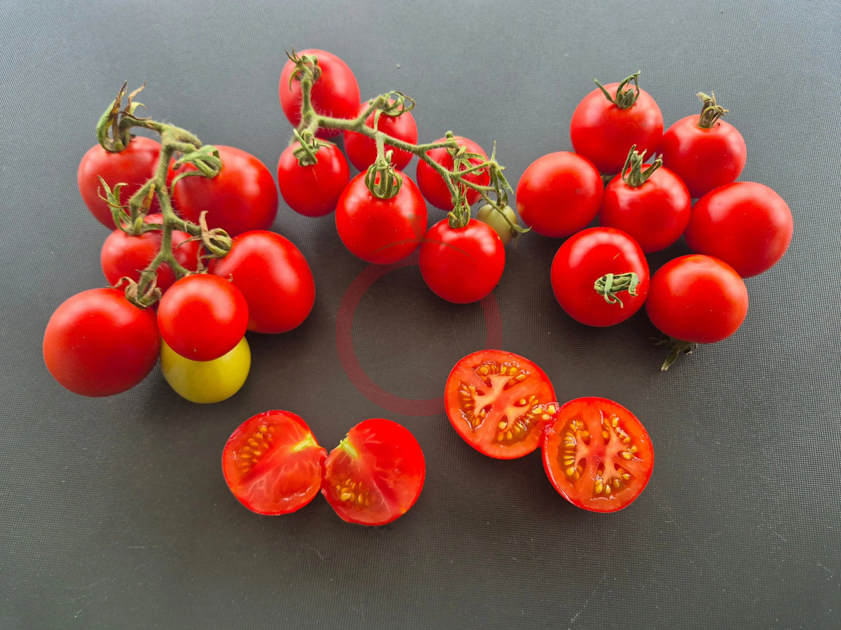 Jonas Bozicou DER TOMATENFLÜSTERER