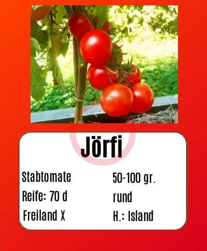Jörfi DER TOMATENFLÜSTERER