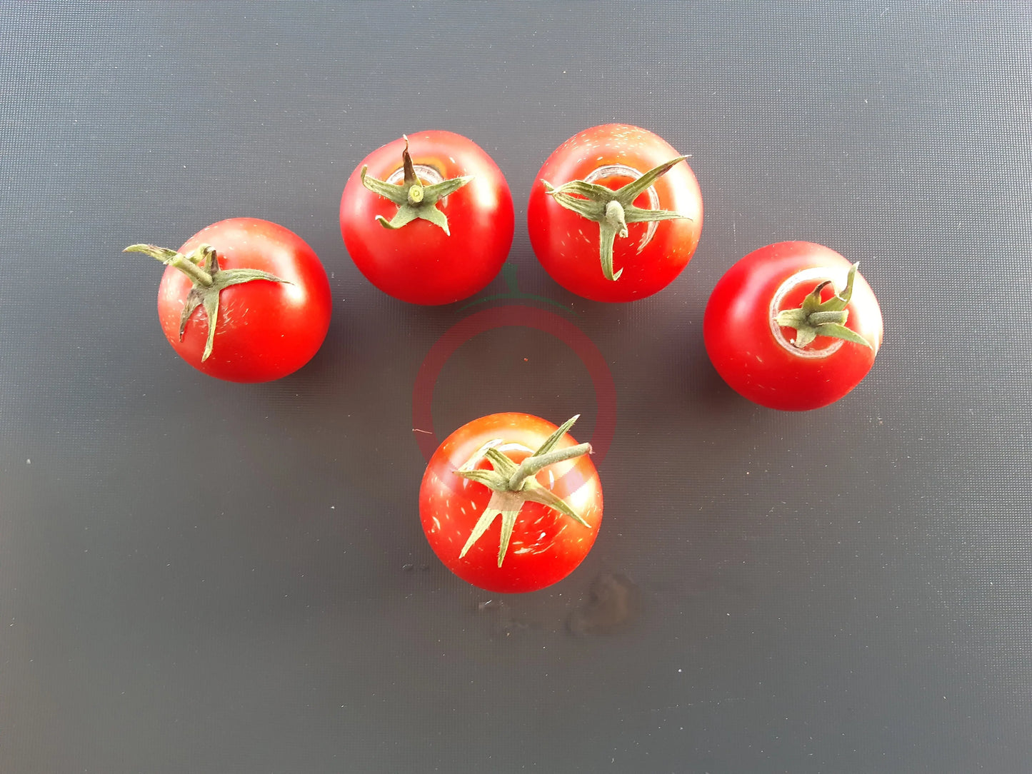 Jörfi DER TOMATENFLÜSTERER