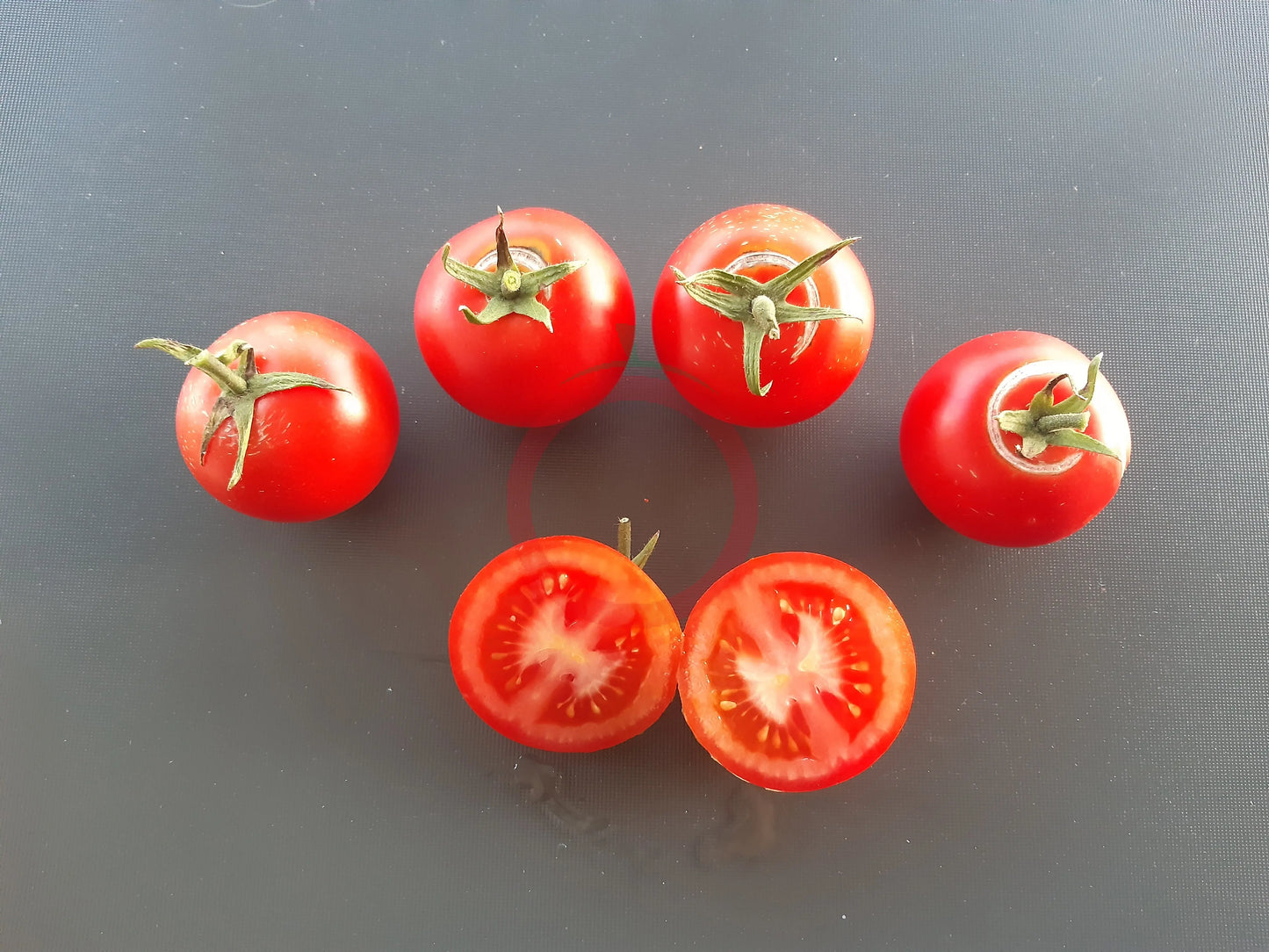 Jörfi DER TOMATENFLÜSTERER