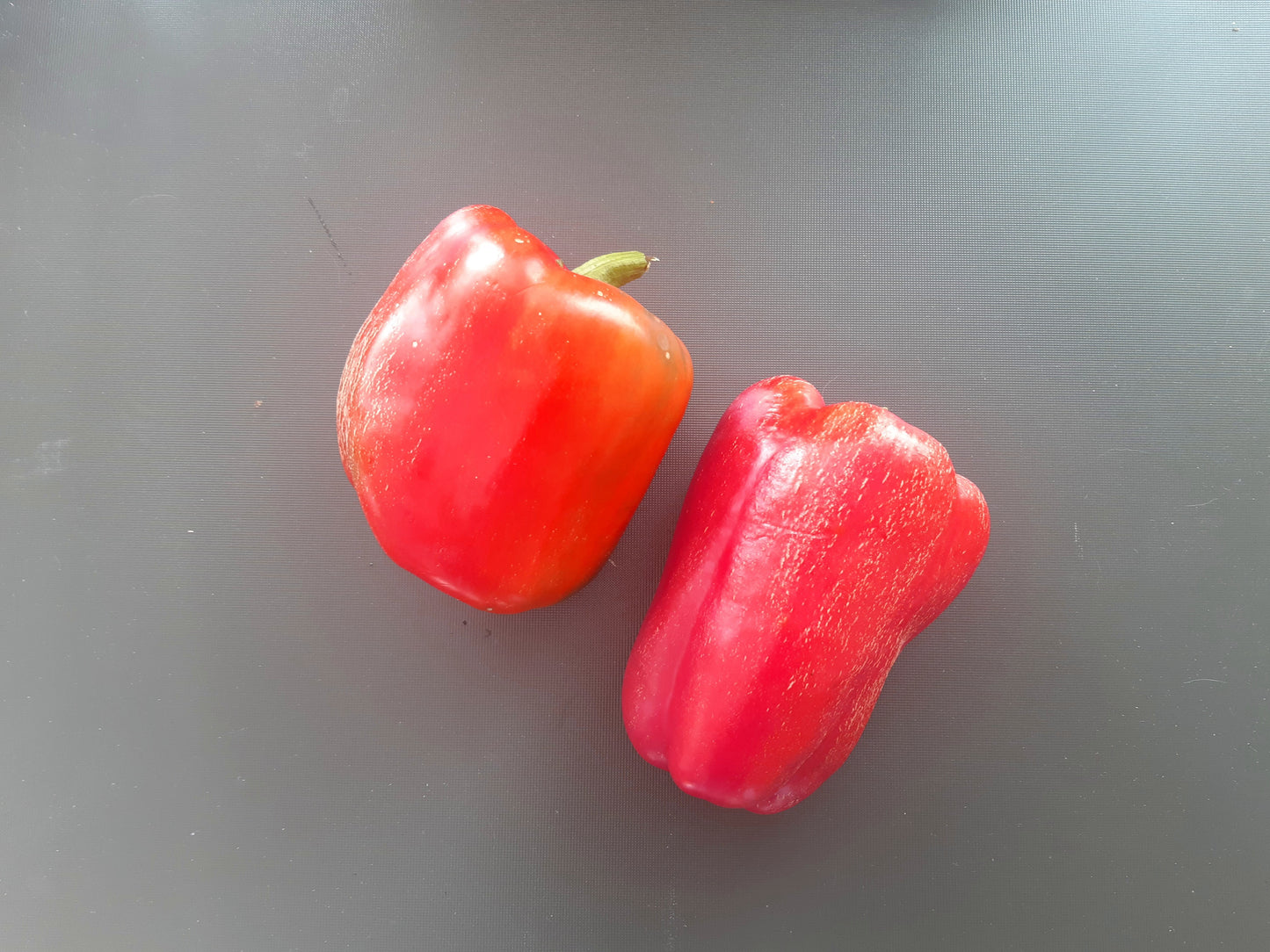 Jupiter DER TOMATENFLÜSTERER