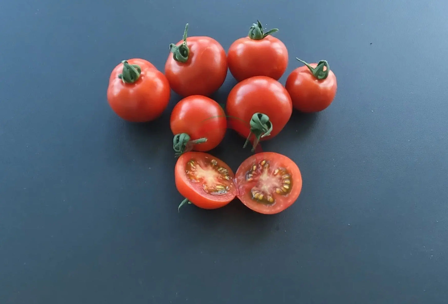 Kazabalikskiy Superranniy DER TOMATENFLÜSTERER